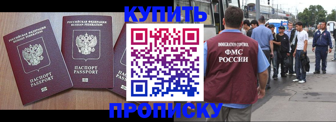 прописка 2025 в Соколе